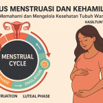 fase menstruasi